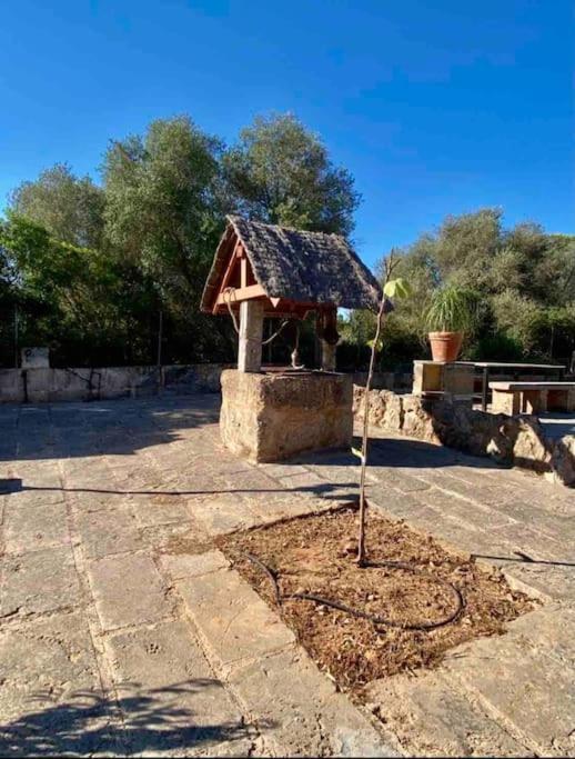 Villas2meet Somni * Ses Salines (Mallorca)